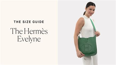 most popular size for evelyne